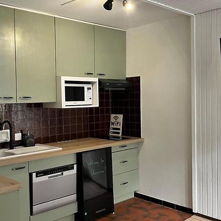 Studio Dent Du Caiman, Chamonix Hyper Centre, Parking, Vue Mont Blanc מראה חיצוני תמונה