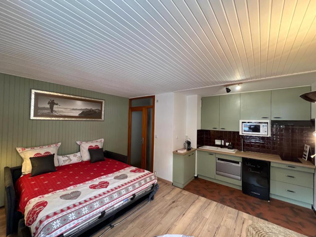 Studio Dent Du Caiman, Chamonix Hyper Centre, Parking, Vue Mont Blanc מראה חיצוני תמונה